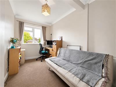 Picture 15